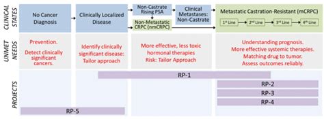 We aimed to investigate the association between age at diagnosis and prognosis, and if it is independent of tumor characteristics, primary treatment, year of diagnosis, mode of detection and comorbidity. TRP