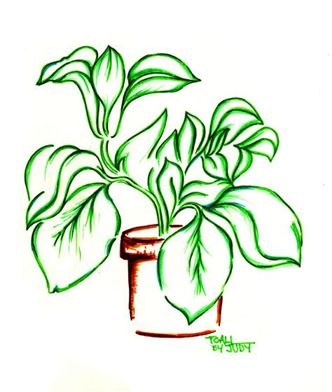 طاغية البعوض بنزين Plant Drawing