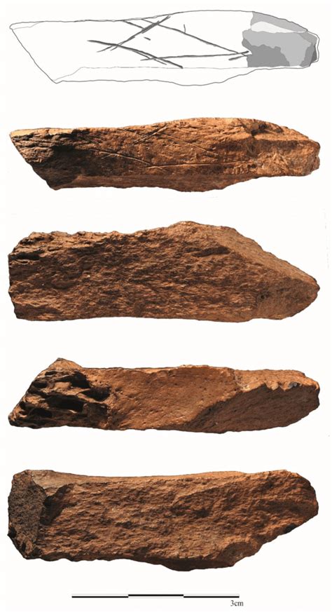 Different Views Of The Engraved Bone From The Stratigraphic Unit Lynn