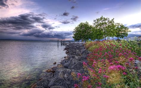 Nature Flowers Water Trees Stones Sky Clouds Color Colors