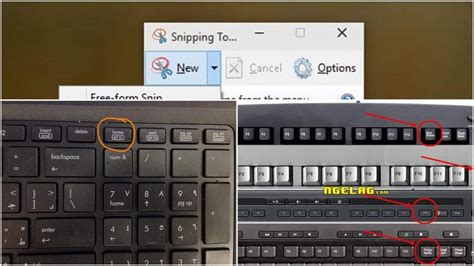 Cara Screenshot Di Laptop , PC dan Smartphone