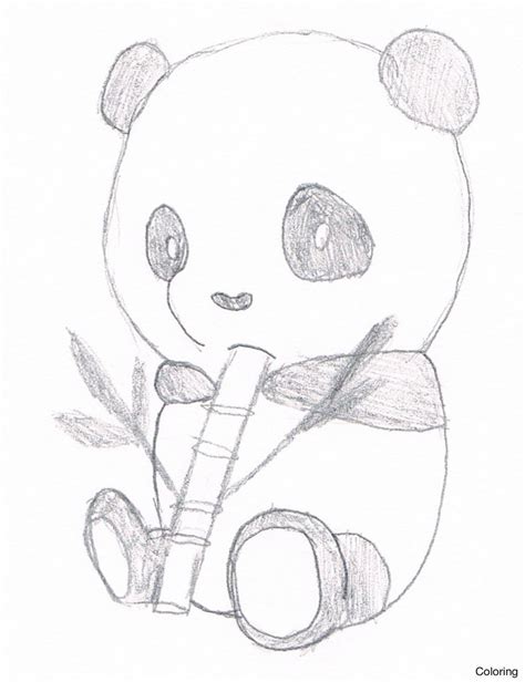 Panda Drawing Images At Getdrawings Free Download Panda Coloring