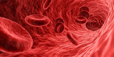 Donne T On Trop De Transfusions De Globules Rouges à Lurgence Docs