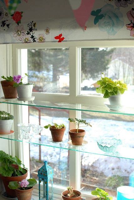 Glass Windows Glass Window Shelves