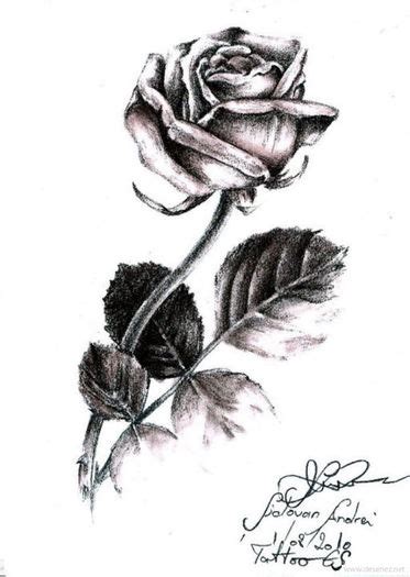 4,146 likes · 29 talking about this. Desene in creion cu flori - deeascumpik