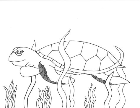 The hawksbill sea turtle the biggest threat to these beautiful sea babies is us. Leatherback Sea Turtle Drawing at GetDrawings | Free download