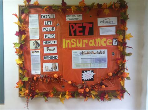 Mobley veterinary clinic is a veterinary hospital in east nashville tn also offering pet boarding & pet grooming. Main Street Veterinary Hospital | Pet health, Veterinary ...