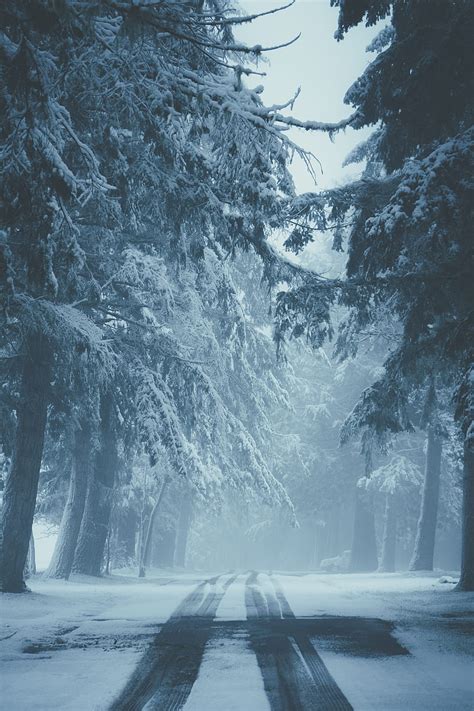 Road Snow Fog Winter Trees Traces Hd Phone Wallpaper Peakpx