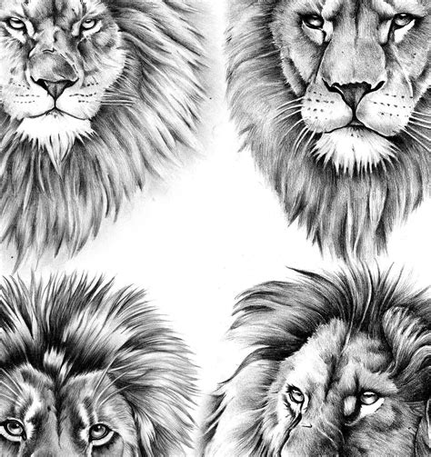 4 X Realistic Lion Tattoo Design Digital Download Tattoodesignstock