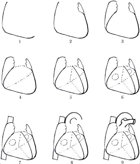simple human heart drawing - Google Search | Favs | Pinterest | Human