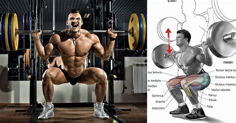 Benefits Of Heavy Squats On Massive Muscle Gain Bodydulding