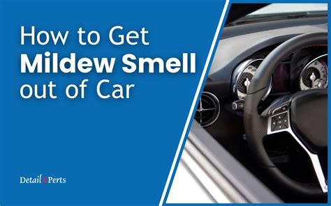 How To Get Mildew Smell Out Of Car Detailxperts Blog