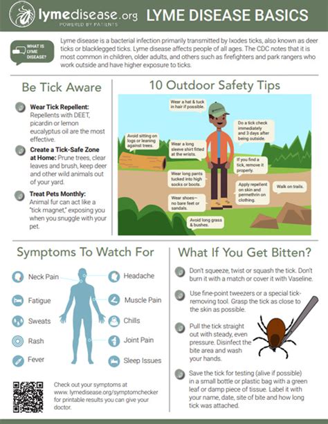 Lyme Disease Posters And Brochures Madison Area Lyme Support Group
