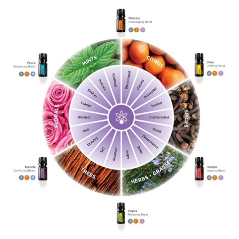 emotions and essential oils use the wheel — essential wellness community