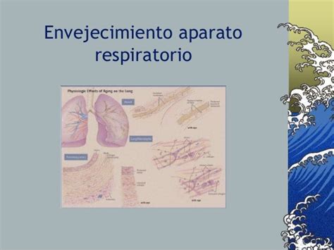 Fisioterapia Aplicada A Los Ancianos Con Disfunciones Respiratorias