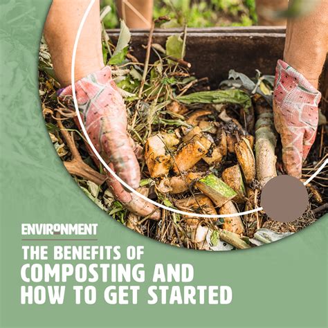 The Benefits Of Composting And How To Get Started Environment Co