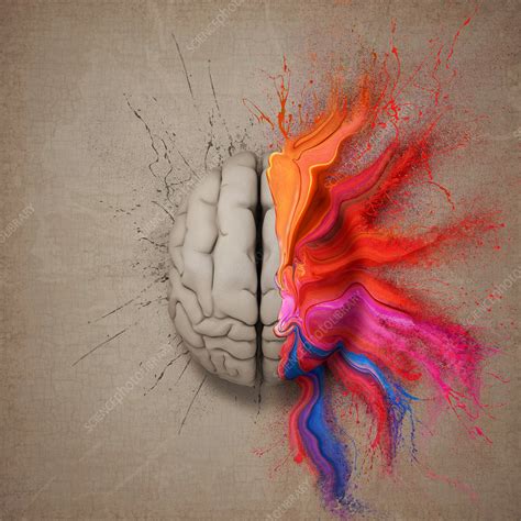 Human Brain With Multicoloured Paint Illustration Stock Image F019