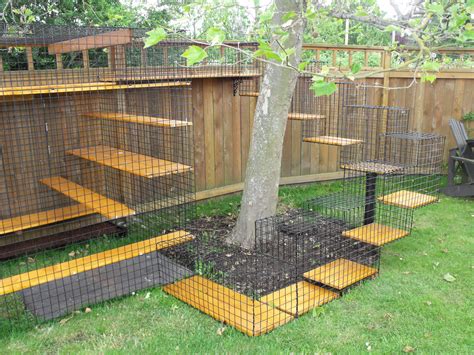 Designed and sold by many suppliers, such as catnets.com and kittywalk systems , this type of cat enclosure gives your pet 30. The Cat-Bird Conflict « ABA Blog