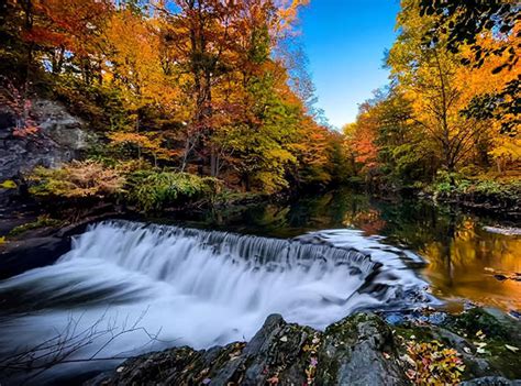 Guide To Fall Foliage In Nyc And Long Island