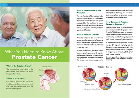 A Medical Guidebook For Prostate Cancer Patients