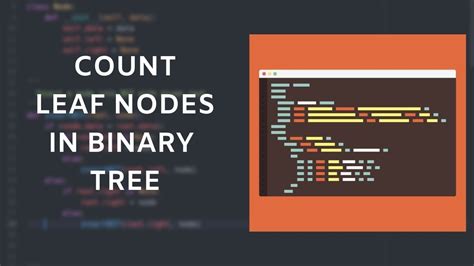 Total Leaf Nodes In Binary Tree Python Code Youtube