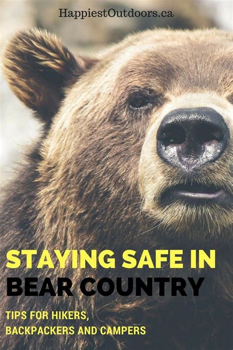 Staying Safe In Bear Country Bear Safety Tips For Hikers Backpackers
