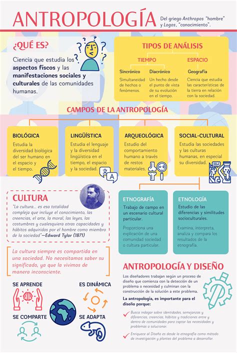 Infografía Antropología Antropologia Social Y Cultural Tecnicas De