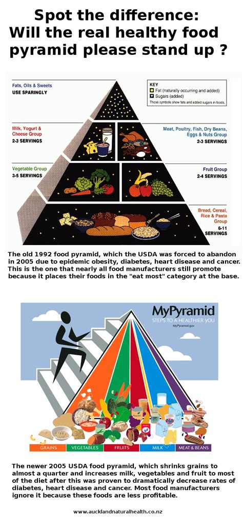 The new food pyramid also bases recommended nutrient intake on 12 different caloric levels and includes physical fitness as part of the pyramid. 22 best Liver Segments images on Pinterest | Liver detox ...