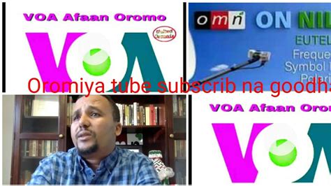 Voa Afaan Oromo Oduu Ammaan Taana Live Fulbana 222017 Youtube