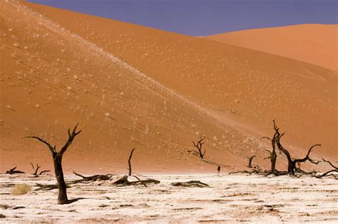 Filedead Vlei Sossusvlei Namib Desert Namibia Luca Galuzzi 2004