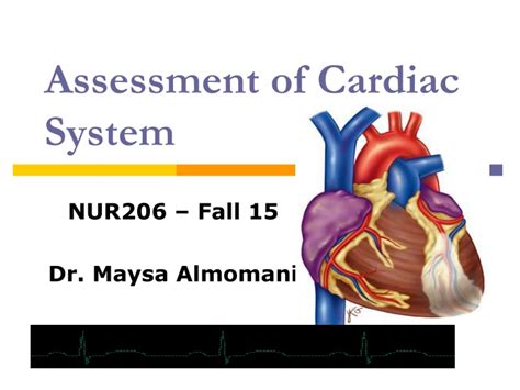 Ppt Assessment Of Cardiac System Powerpoint Presentation Free