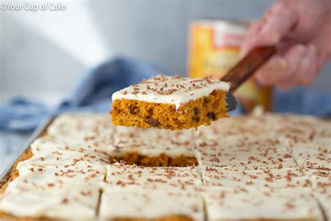 Pumpkin Chocolate Chip Sheet Cake Your Cup Of Cake