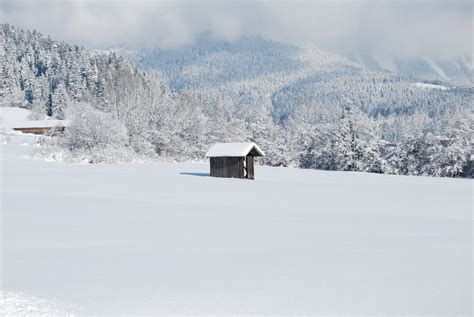 The city authorities called it the heaviest in the last 100 years. Free Images : nature, snow, mountain range, cabin, weather ...