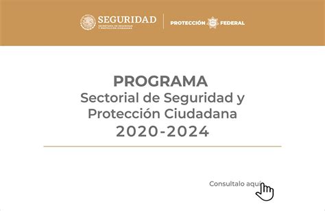 Programa Sectorial De Seguridad Y Protección Ciudadana 2020 2024