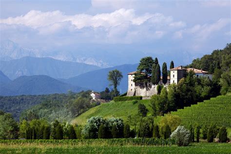 Friuli-Venezia Giulia. La Strada del Vino e dei Sapori - Gambero Rosso