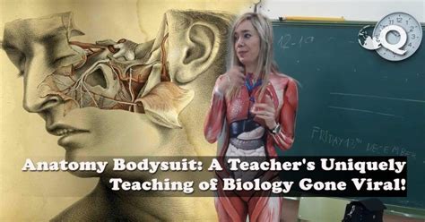 Anatomy Bodysuit A Teachers Uniquely Teaching Of Biology Gone Viral