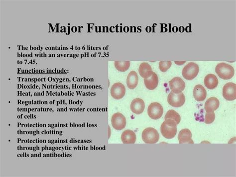 Ppt Major Functions Of Blood Powerpoint Presentation Free Download