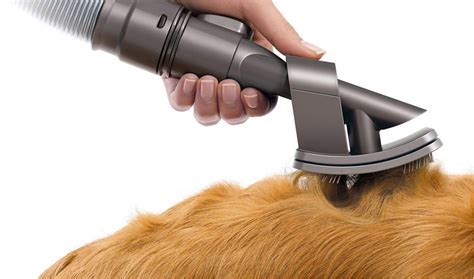 There are 4068 cool picture for sale on etsy, and they cost €15.92 on average. 7 Must Have Gadgets For Your Pet - Wiproo