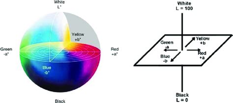 The Cie Lab Color Dimensionality The Dimensionality Of Cie Lab Color