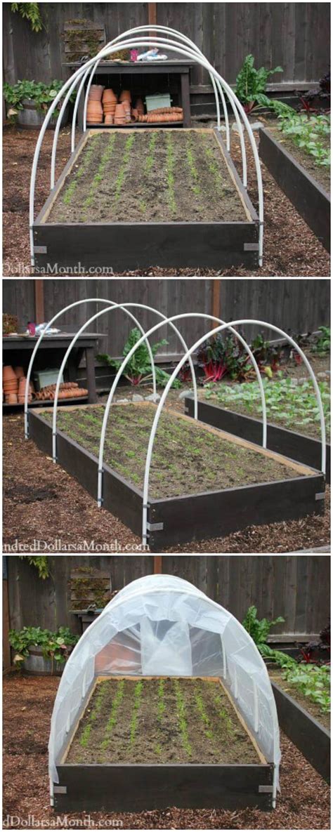18 How To Build A Greenhouse With Pvc Pipe Png Quonset Greenhouse