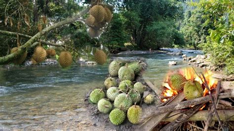 Berburu Durian Hanyut Di Pinggir Sungai Youtube