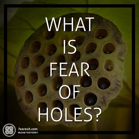 Pin By Melissa Troutman On Holes Fear Of Holes Trypophobia Phobia