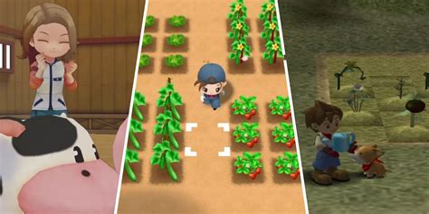 The Best Harvest Moon Games Ranked