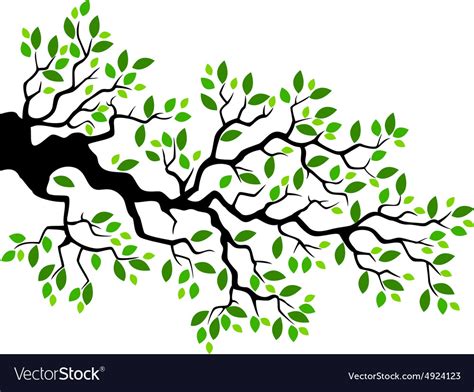 Green Leaf Tree Branch Royalty Free Vector Image