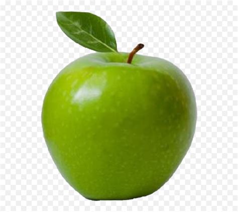Green Apple Png Free Image Download Granny Smith Apples Apple Png Free Transparent Png