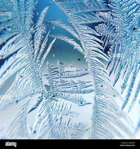 Frozen Fractals On Window Pane Up Close Stock Photo Alamy