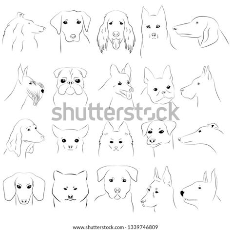 Vector Outline Images Dogs Different Breeds Stock Vector Royalty Free
