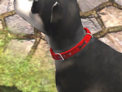 Mod The Sims New Dog Collars For Big And Little Dogs Bones Paws