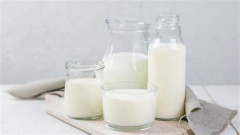 Kebaikan lazz susu kambing kurma untuk ibu dan bayi dalam kandungan : Manfaat Susu Kambing untuk Peningkatan Daya Imun - Solusi ...