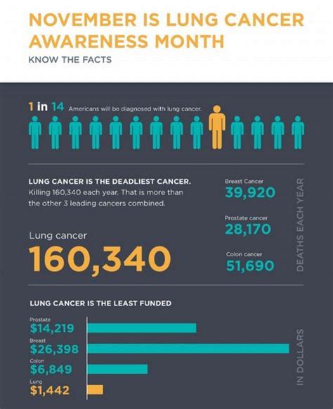 These changes are the result of the interaction between a person's genetic factors and three categories of. Startling Lung Cancer Infographics : lung cancer awareness ...